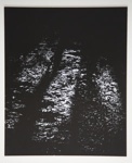 [Untitled, Abstractions of natural forms]; Wells, Alice; ca. 1965; 1972:0287:0173