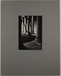 Untitled [Tree and columns]; Dilley, Clyde; 1967; 1982:0082:0001