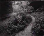 Pathway; Hunter, Frank; undated; 1987:0009:0006