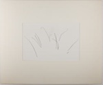 Untitled [Plants in snow]; Durrell, James; undated; 1982:0078:0002