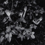 Untitled [Hands]; Riss, Murray; ca. 1970s; 1972:0194:0001