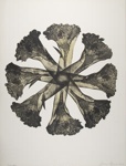 Untitled [Hands and flowers]; Lyons, Joan; 1978; 1987:0090:0021