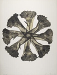 Untitled [Hands and flowers]; Lyons, Joan; 1978; 1987:0090:0021