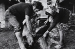 Untitled [Hog slaughtering]; Saur, Francoise; ca. 1970s; 1986:0015:0002