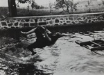 Swimming Pool at Château de Rouzat, My Cousin Jean Haguet; Lartigue, Jacques-Henri; 1910; 1977:0091:0008