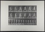 Running full speed. [M. 64]; Da Capo Press; Muybridge, Eadweard; 1887; 1972:0288:0016 