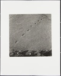Untitled [Footprints in gravel]; Cooper, John; ca. 1983; 1983:0016:0020