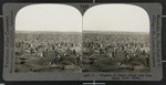 Penguins on Dassen Island near Cape Town, South Africa; Keystone View Company; circa 1920; 2017:0791:001 