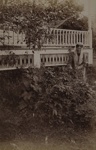 Untitled [Woman, porch, and bush]; Stanton, Henry; 1892; 1982:0015:0006