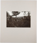 Park in Pacific Heights; DeLory, Peter; March 1971; 1978:0162:0003