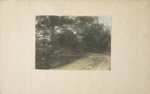 Untitled [Dirt road]; Thompson, Fred; ca. 1900s; 1986:0025:0003