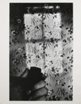 Untitled [Pipe and wallpaper]; Gibson, Ralph; ca. 1971; 1971:0671:0001