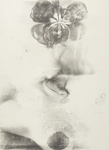 Untitled [Water lily and breast]; Lyons, Joan; 1974; 1975:0006:0007