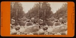 [a stereograph of a group of people posed around a natural pool]; John P. Soule; ca. 1860; 1975:0025:0557