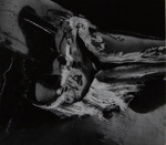 Car Fragment; Stuler, Jack; 1970; 1978:0028:0001