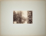 Bolton Woods; Valentine, James; ca. 1860-1900; 1979:0060:0002