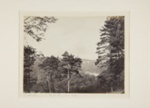 Castle Bernard Park Baudon; Currey, F.E.; 1869; 1982:0019:0001