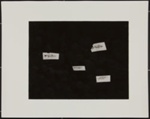 Untitled [Four fish]; Connor, Linda; 1971; 1979:0034:0002