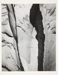 [Untitled, abstraction of natural form]; Wells, Alice; ca. 1964; 1972:0287:0066