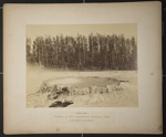 Punch Bowl; Haynes, F. J.; c.a. 1883; 1977:0045:0006