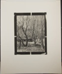 Untitled [Two cabins.]; Enos, Franklin; 1970; 1972:0066:0001