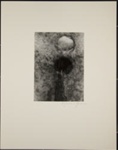 Untitled [Composite image of biomorphic shapes]; Yvonne, Suzanne; ca. 1971; 1973:0002:0013
