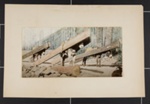 A Lumber Pack; Detroit Photographic Co.; ca. 1898-1905; 1981:0065:0007
