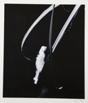 [Untitled, abstract natural form]; Wells, Alice; ca. 1965; 1973:0143:9999