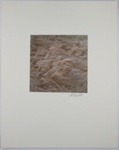 Untitled [Prairie grass]; Krabill, Al; 1974; 1978:0129:0014