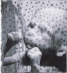 Companions: Fetus Y ; Norton, Karen Lavallee; undated; 2011:0007:0007