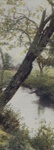 Untitled [Tree at riverbank]; Lamson Studio; undated; 1986:0023:0001