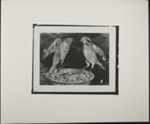 Untitled [Two thrushes on a feeder.]; Enos, Franklin; 1972; 1972:0070:0001
