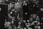Untitled [Coca-Cola]; Heath, Dave; ca. 1960s; 1971:0186:0001