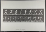 Walking. [M. 4]; Da Copa Press; Muybridge, Eadweard; 1887; 1972:0288:0003 