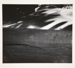 [Untitled, abstraction of a natural form]; Wells, Alice; ca. 1964; 1972:0287:0078