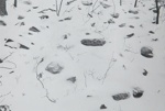 Untitled [Snow scene]; Perkis, Philip; undated; 2000:0132:0001