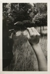 Untitled [Glasses]; Gibson, Ralph; 1972; 1974:0019:0001