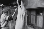 Untitled [Hog slaughtering]; Saur, Francoise; ca. 1970s; 1986:0015:0007