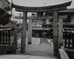 Torii (A Gateway of Shinto Shrine); Tsuchida, Hiromi; 1983; 1993:0005:0020