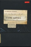 Scape-Mates; TV Lab/WNET 13; 1974; 2020:0002:0663