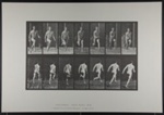 Running. [M. 66]; Da Capo Press; Muybridge, Eadweard; 1887; 1972:0288:0018 