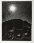 [untitled]; Uelsmann, Jerry; 1964; 1971:0067:0001