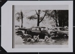 Polaroid of Picnic Ground-Glendale, California (1959) ; Frank, Robert; ca. 1959; 2011:0022:0001