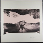 Untitled [Thighs, buttocks, and genitals with tree branch]; Doroshow, Helen; 1970; 1972:0096:0009