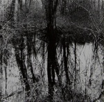 Untitled [Reflection]; Sikes, Larry; ca. 1968; 1971:0135:0001