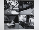 Untitled [Package and shopping cart]; Parker, Bart; 1976; 1981:0093:0060