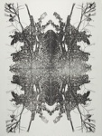 Untitled [Branches and leaves]; Lyons, Joan; ca. 1970s; 1986:0090:0010