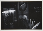 [Untitled, collage of images]; Wells, Alice; 1965; 1972:0287:0059