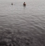 Roger in the Lake; Jones, Harold; 1968; 1973:0013:0001