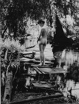 Untitled [Woman by stream]; Colwell, Larry; 1959; 1981:0070:0001